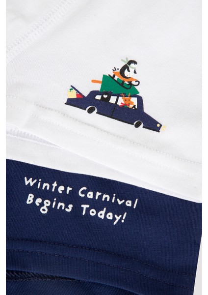 Çok Renkli Erkek Çocuk Winter Trip 2li Boxer
