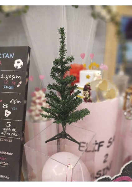 60 cm Yılbaşı Çam Ağacı