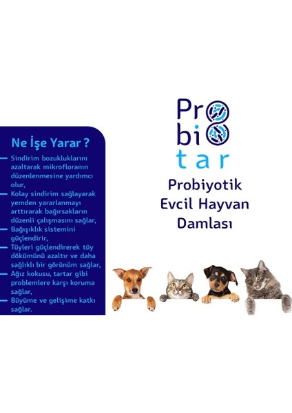 Probiyotik Evcil Hayvan Damlası fiyatları