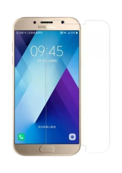 Alp Accessory Samsung Galaxy J4 Uyumlu Ekran Koruyucu 9h Temperli Cam Sert