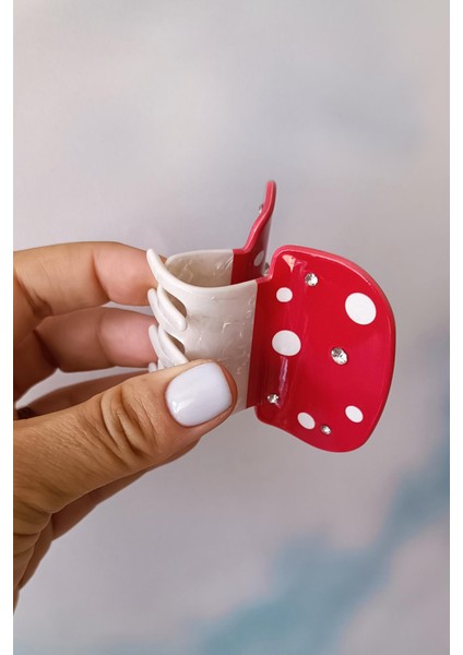 Mega Mushroom Mandal Toka