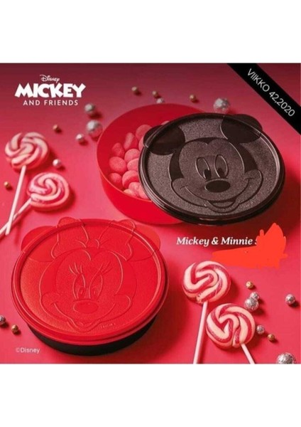 Mickey Minnie Ikili Saklama Kabı fırsatları