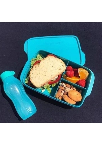 Beslenme Kabı Bölmeli Bölmeli fiyatları