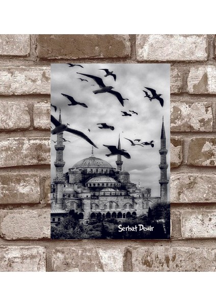 RETRO263-KIŞIYE Özel Istanbul-Martilar-Suleymaniye-Retro-Vintage-Metal-Poster