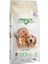 Adult Dog Lamb & Rice Kuzu Etli ve Pirinçli Yetişkin Köpek Maması 4 kg x 2 Paket 1