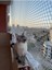 1 mm - Kare Kesim - Kedi Filesi - Bahçe Filesi - Kuş Filesi - Balkon Filesi - 1