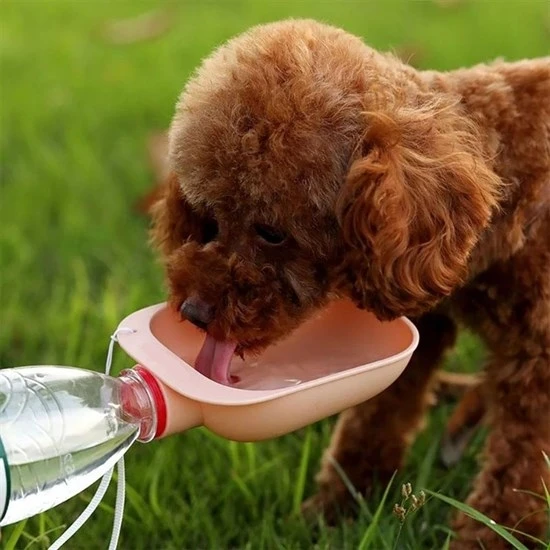 Real West Evcil Hayvan Plastik Yıkanabilir Taşınabilir Su Şişesi Bağlantılı Su Kabı