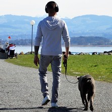 Pets Wuu Siyah Gezdirme Kayışı