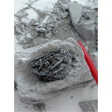 Marnie Form Arkeolojik Kazı Seti Dinazor 6'lı