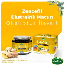 Mindivan Zencefil Ekstraktlı Macun 420 G