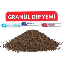 Hanımeli Pet Store Granül Dip Yemi 2 mm 100 gr Vatoz, Çöpçü, Semender, Japon, Koi