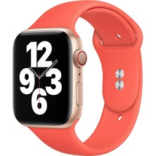 HappyCase M/l Beden Apple Watch 2 3 4 5 6 7 Uyumlu Se  40 mm Klasik Silikon Kordon