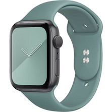 M/l Beden Apple Watch 2 3 4 5 6 7 Uyumlu Se  38 mm Klasik Silikon Kordon