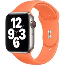 M/l Beden Apple Watch 2 3 4 5 6 7 Uyumlu Se  42 mm Klasik Silikon Kordon