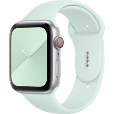 M/l Beden Apple Watch 2 3 4 5 6 7 Uyumlu Se  41 mm Klasik Silikon Kordon
