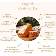 Eğriçayır Organik Karakovan Petek Bal 1,1 kg X2 (Ahşap)