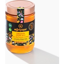 Eğriçayır Organik Çiçek Balı (İÇ ANADOLU) 850g