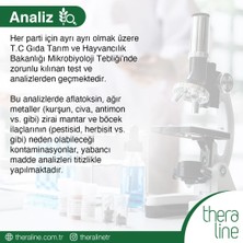 Theraline Sleep & Dream Bitki Çayı