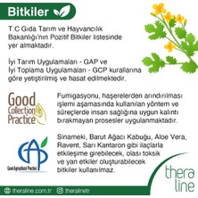 Theraline Sleep & Dream Bitki Çayı