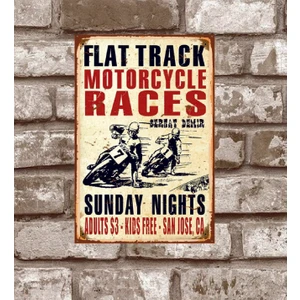 RETRO270-KIŞIYE Özel Flat-Track-Motor-Yarisi-Retro-Vintage-Metal-Poster