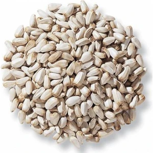 New Food Hanımeli Pet Store Aspir Çekirdeği, Ufak Çekirdek (Saka,paraket,papağan) 1kg