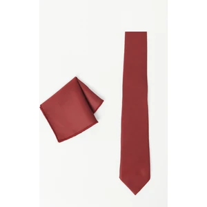 ALTINYILDIZ CLASSICS Erkek Bordo Desenli Kravat-mendil Set