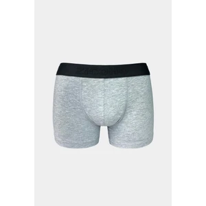 Esnek Kumaş Standart Kalıp Erkek Boxer
