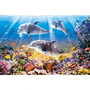 Elmas Mozaik Tablo Mozaik Puzzle Dıy Sualtı Dünyası Yunus Dekorları Tablo 30X40 cm (Yurt Dışından)