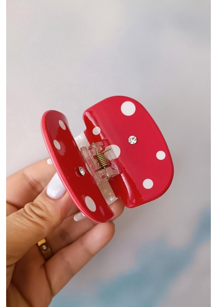 Mega Mushroom Mandal Toka