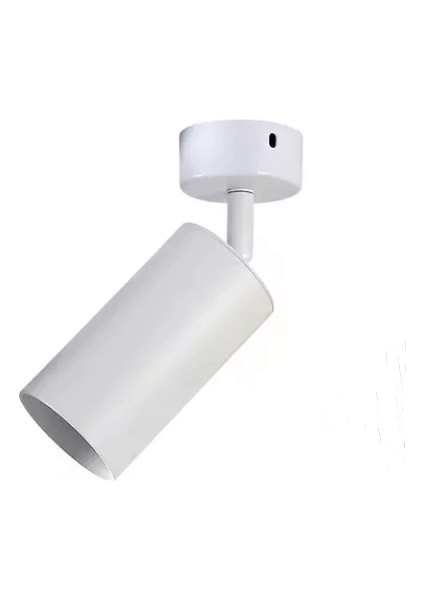 Retro Metal Mafsallı Beyaz Dekotatif Spot Günışığı Ampul