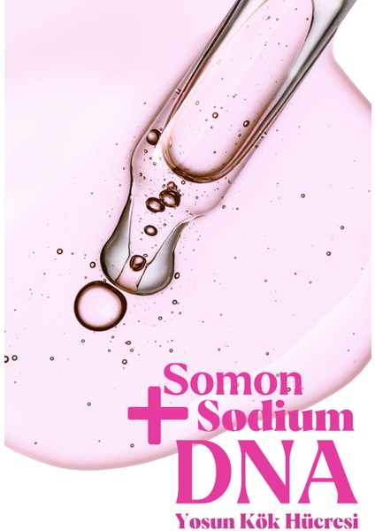 Somon + Sodyum Dna + Yosun Kök Hücresi + Kolejen Oluşturur + Sıkılaştırır