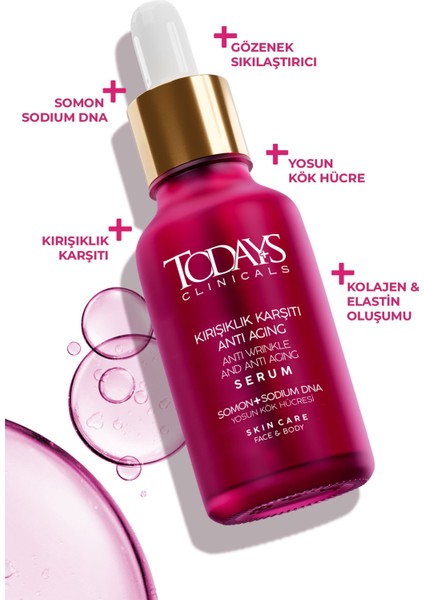 Somon + Sodyum Dna + Yosun Kök Hücresi + Kolejen Oluşturur + Sıkılaştırır