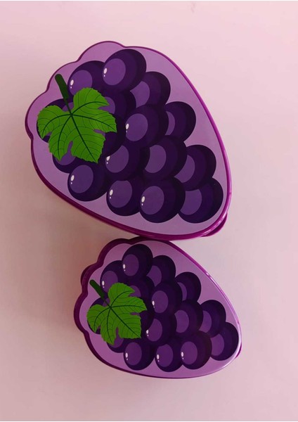 02 1179 2li Saklama Kabı Renkli 550&250ML