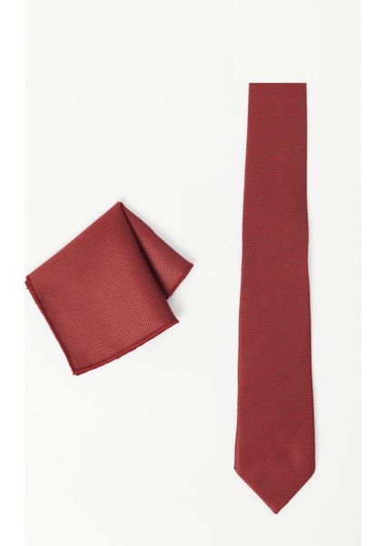 ALTINYILDIZ CLASSICS Erkek Bordo Desenli Kravat-mendil Set