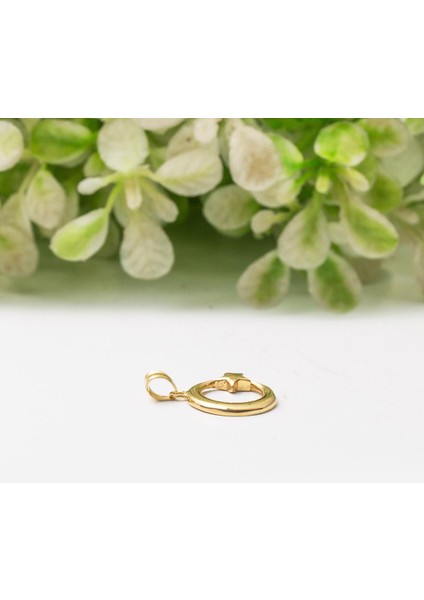 Ay Yıldızlı 14 Ayar Altın Kolye Ucu fiyatları