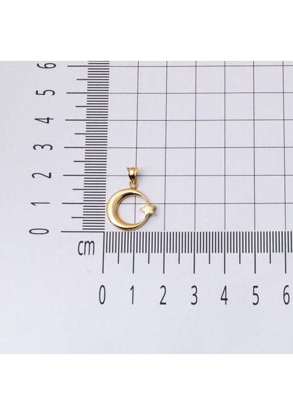 Ay Yıldızlı 14 Ayar Altın Kolye Ucu fırsatları