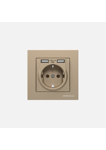 Rita 2'li Usbli Topraklı Priz Dore