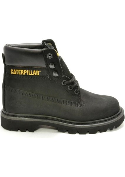 Cat colorado Erkek Black (Siyah) Nubuk Günlük Bot