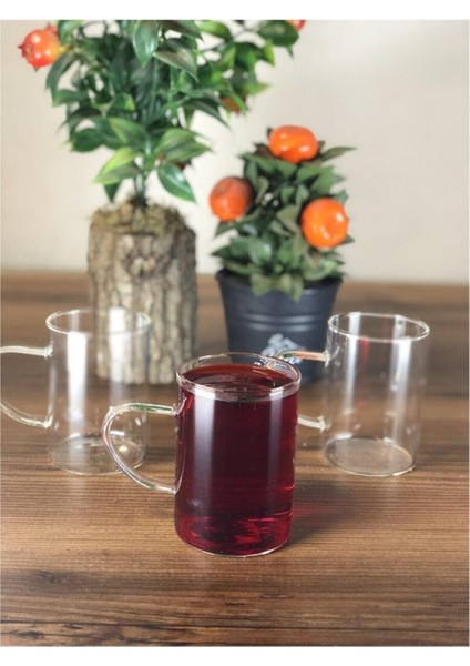 Termisil Cam Ateşe Dayanıklı Kupa 6 Adet 220 ml