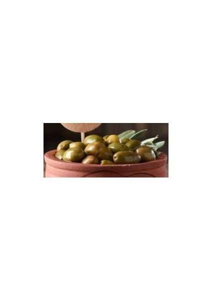 Ayvalık Naturel Yeşil Çizik Zeytin 500 gr fiyatları