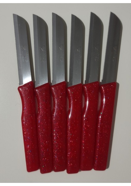 Meyve Sebze Bıçağı 6 Adet Simli Desen (Tırtıklı)