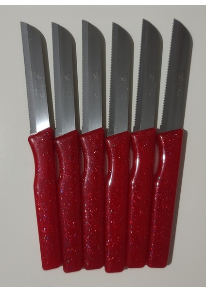 Meyve Sebze Bıçağı 6 Adet Simli Desen (Tırtıklı) modelleri