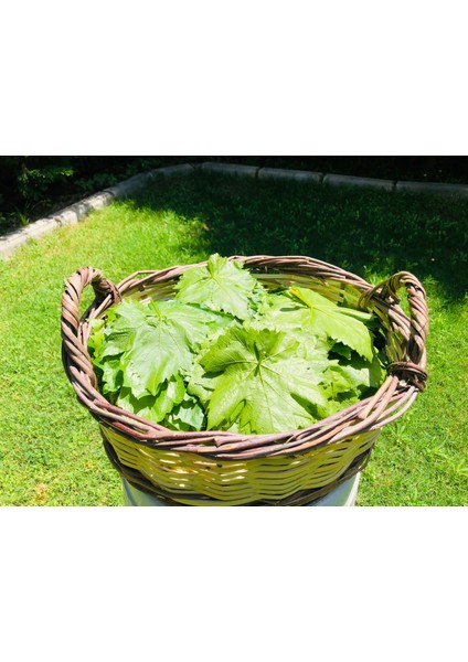 Salamura Yaprak 650 Gr. fiyatları