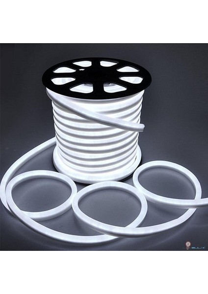 220V IP65 Neon Hortum Led 6500K