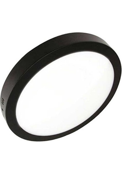 12W Sıva Üstü Yuvarlak Led Panel Siyah Kasa 3000K