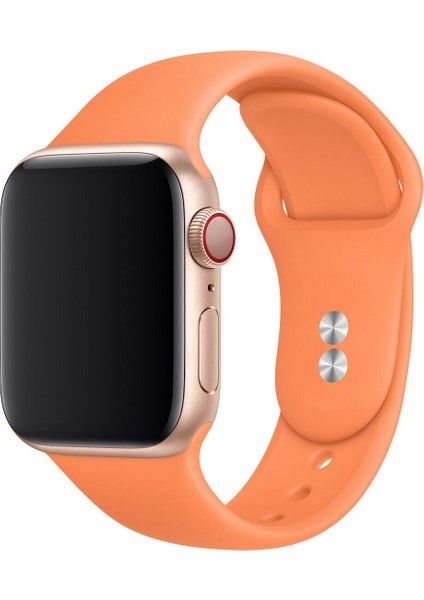 M/l Beden Apple 8 Series Watch Ultra 49 mm Klasik Sililkon Kordon