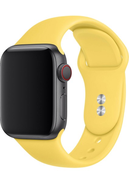 M/l Beden Apple 8 Series Watch Ultra 49 mm Klasik Sililkon Kordon
