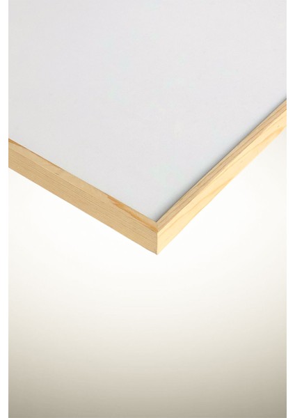 Ahşap Çerçeveli Minimalist Tablo fiyatları
