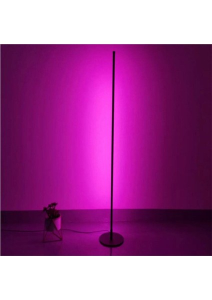Modern Rgb 256 Renk Dekoratif Lambader LED Işık Sistemi