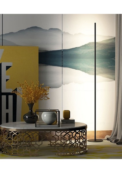 Modern Rgb 256 Renk Dekoratif Lambader LED Işık Sistemi